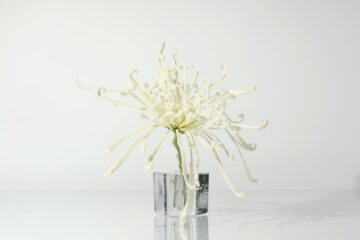 De leeftijd en achtergrond van kunstkenner Bianca Frölich