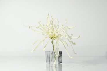 De leeftijd en achtergrond van kunstkenner Bianca Frölich